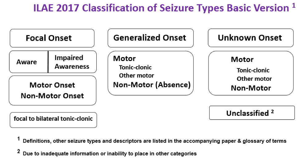 simple seizures chart