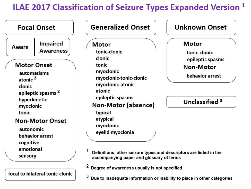 Ilae 2017 Classification Expanded 0 